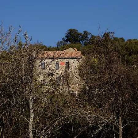 Dom wakacyjny Casa Giacometti Grosseto-Prugna