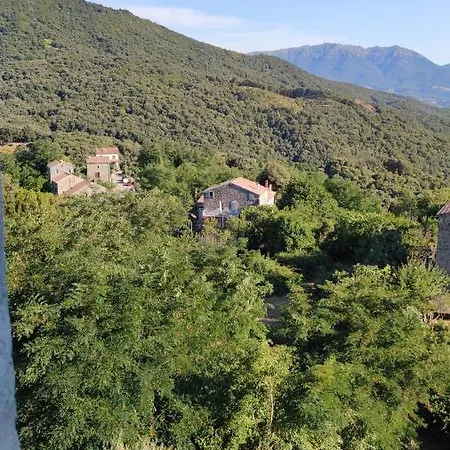 Holiday home Casa Giacometti