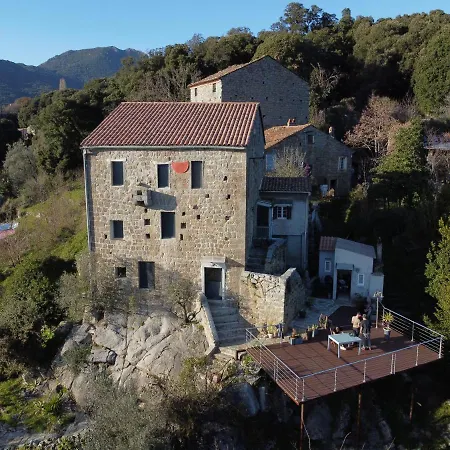 Casa Giacometti Grosseto-Prugna