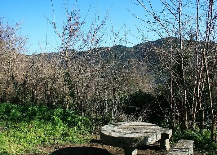 贾科梅蒂酒店 度假居 Grosseto-Prugna