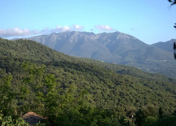 度假居 贾科梅蒂酒店 Grosseto-Prugna