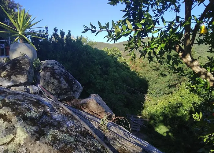 贾科梅蒂酒店 *